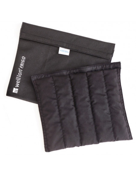 Kylväska Frigo för insulin